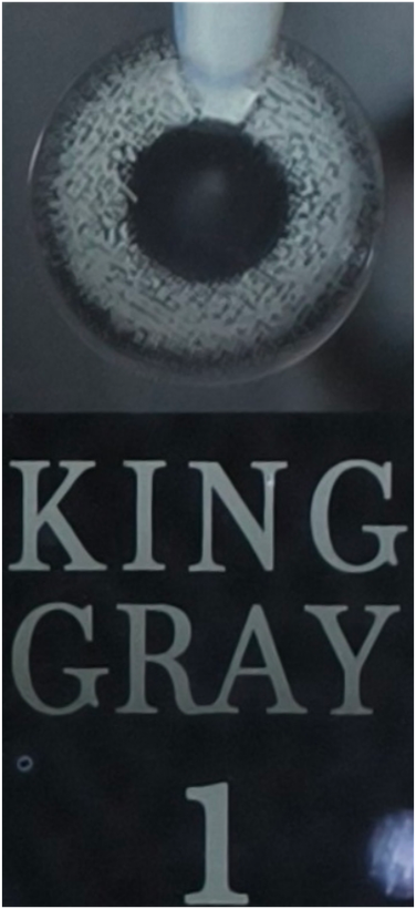 لنز چشم آی ریو کد 1 کینگ گری King Grey